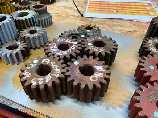 Various sizes of pinions