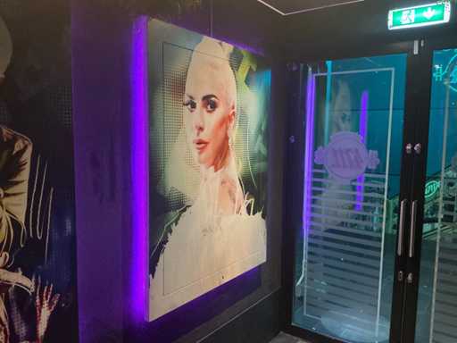 Wanddecoratie lady gaga
