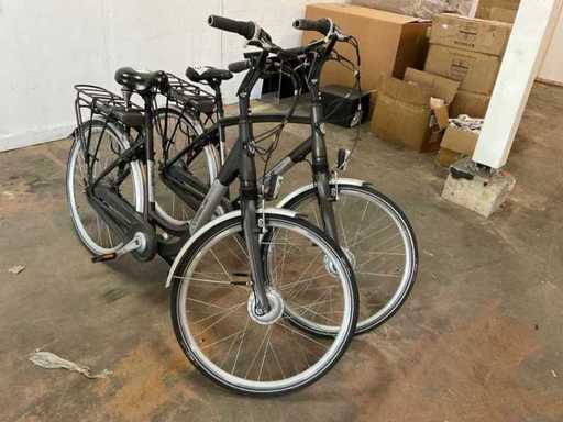 Vogue Infinity Elektrische fiets (2x)