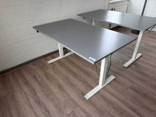 Electric Adjustable Desk