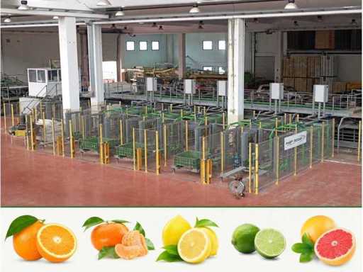 Orange packaging plant