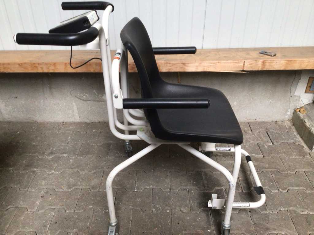 Detecto Weighing Chair