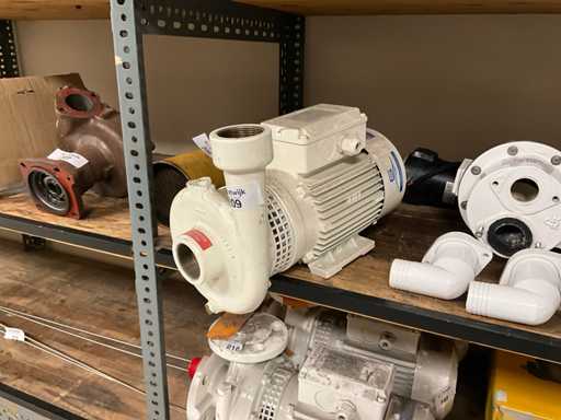 Motopompa Gianneschi CB 41T