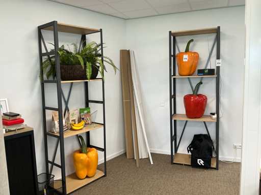 Szafka do przechowywania (2x)