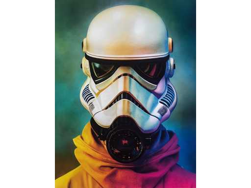 Chris Boyle : Street Art Banksy Style Limited Edition Print 16/25