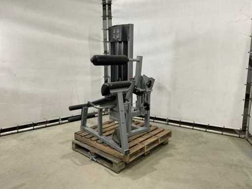 Life Fitness Fitness Machine