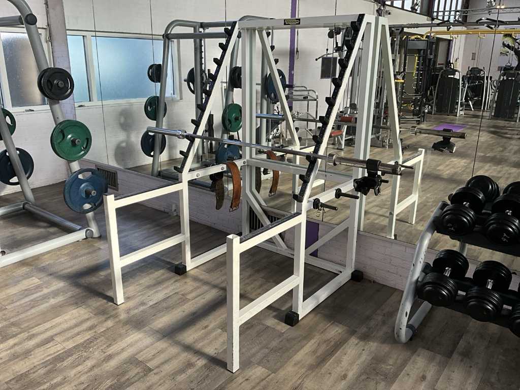 TechnoGym Stazione Multifunzione