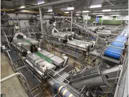 Insolvenz des Kartoffelproduzenten CelaVita Foods B. V.