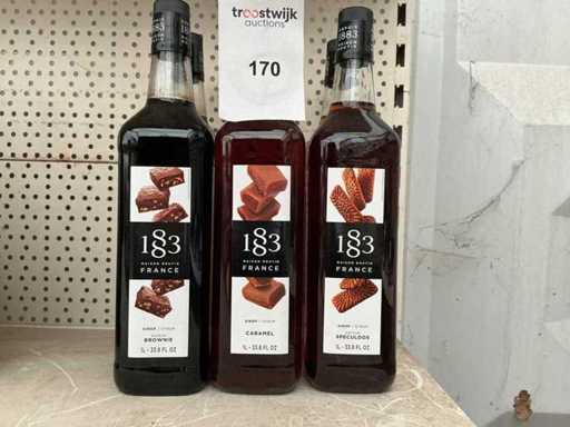 1883 Various Syrup (6x)