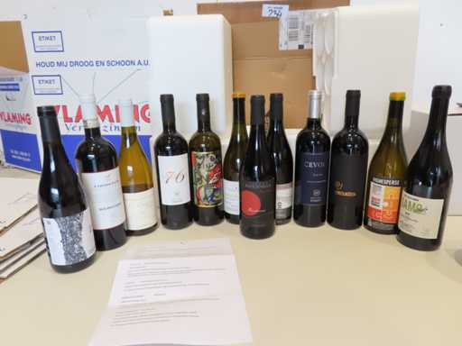 Pacchetto per intenditori di vini italiani - 12 pezzi