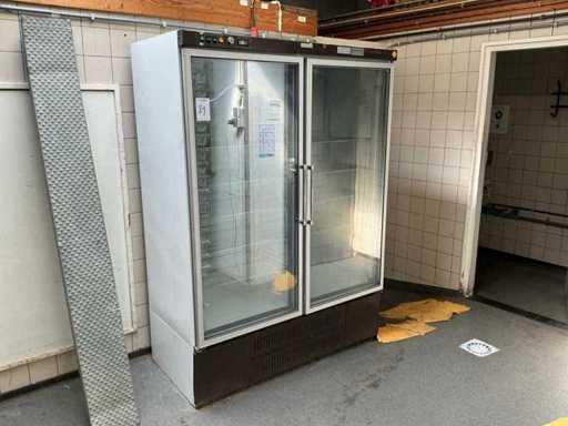 Vetrina a doppia porta Eurofrigo Freezer