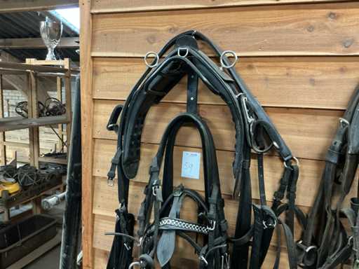 Eenpan horse harness