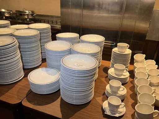 Placca profonda di Zwanenburg (130x)