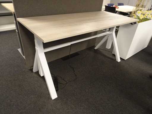 Scrivania a seduto/in piedi regolabile elettricamente