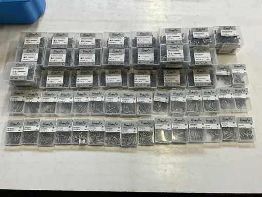 HomeFix Various stainless steel fasteners (54x)