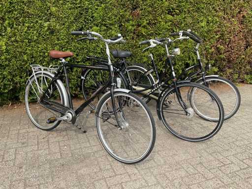 Fiets (3x)