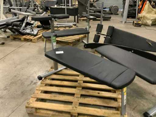 Gym80 signum abdominal bench Krachtstation