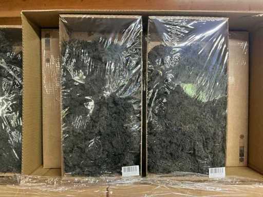 Partij IJslands Moss zwart (252x)