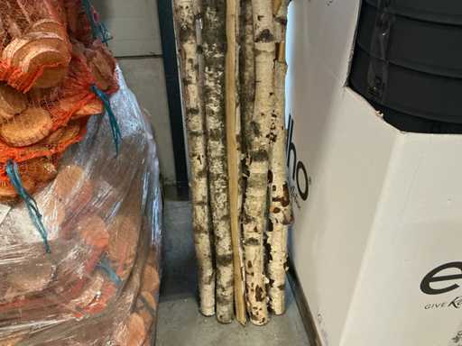 Partij berkenstammen H200cm (14x)