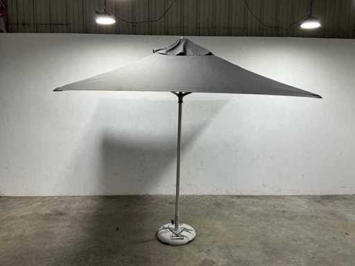 Parasole z Przylądka - Parasol