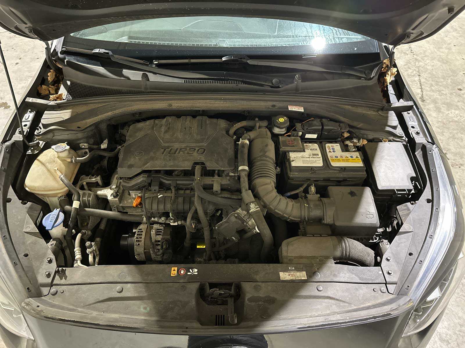 Kia ProCeed 1.0 T-GDi GT-Line 120pk 2022 (Origineel-NL), P-934-HG