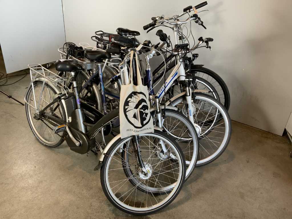 Diverse merken en modellen 5x elektrische fiets Elektrische fiets (5x)