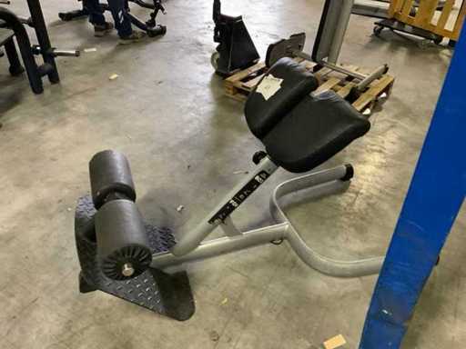 Gym80 Signum Unterrücken-Multi-Gym