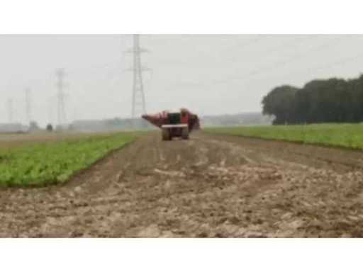 481dd8a1-1afd-4bf2-bb6d-58ac12665349.mp4