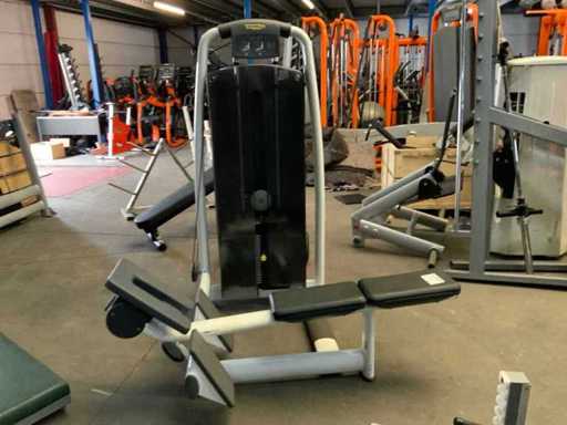 Technogym Selection line Pulley Krachtstation