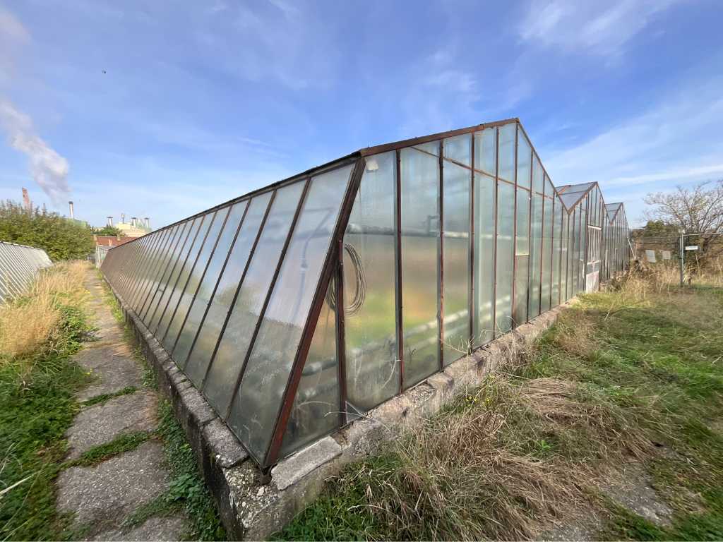 Greenhouse Glasshouse