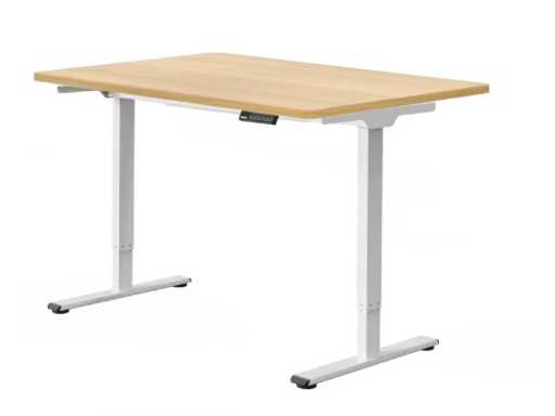 Basic Standing Desk with Dual Motors - Maple Top 140x70cm 