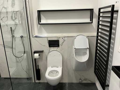 Geberit Wall-Mounted Toilet and Urinal