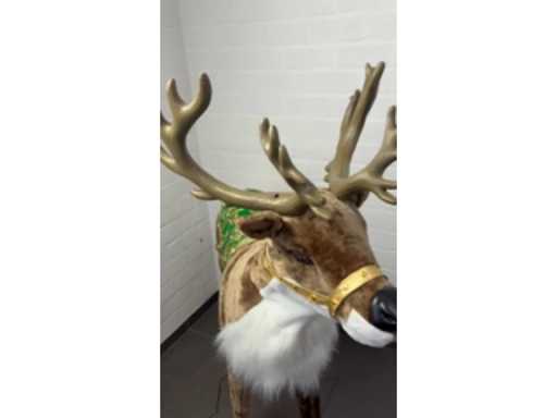 b4e2018e-8bba-4937-99a1-34f5c834105c.mp4