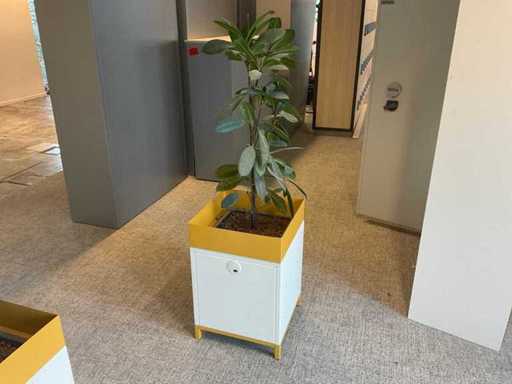 Plantă hidroponică cu jardinier