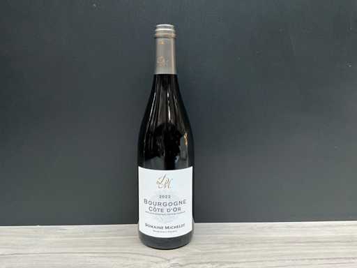 Domaine Michelot 'Bourgogne Cote d'Or' 2022 (6x)