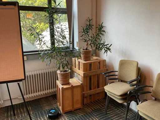 Plante d’hydroculture avec pot sur boîte (2x)