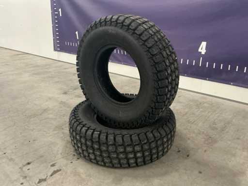 Gazonband (2x)”ongebruikt”