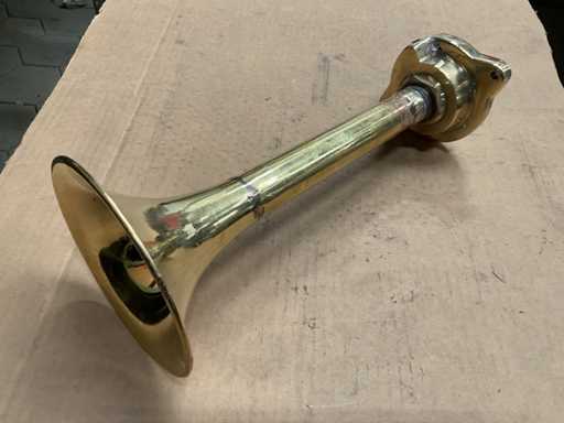 Corne marine vintage