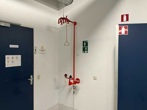 Wall-mounted emergency shower