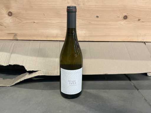 2023 ARRIGO BIDOLI Witte wijn (10x)