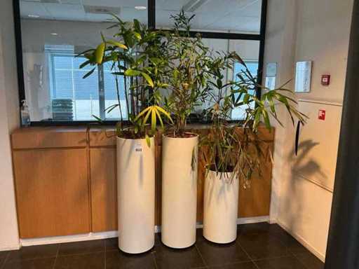 Plantator hidroponic (4x)