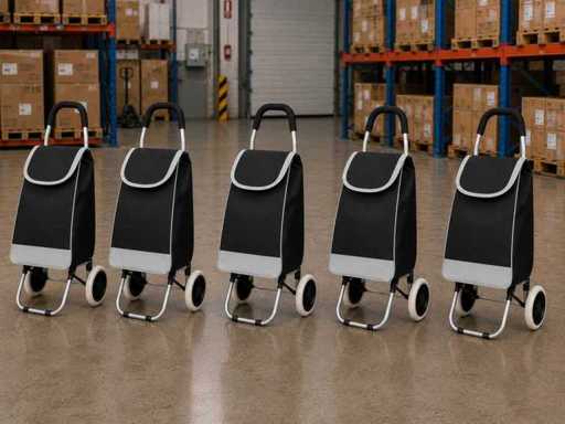 Shopping trolley (5x)