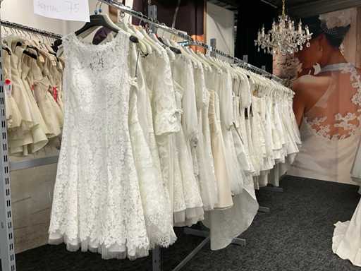 Korte damesjurken (75x)