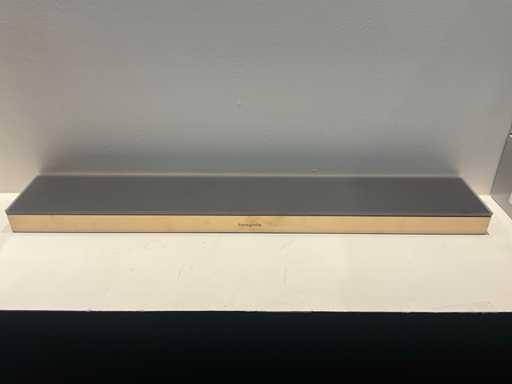 Hansgrohe Rainfinity Tablette de douche (2x)