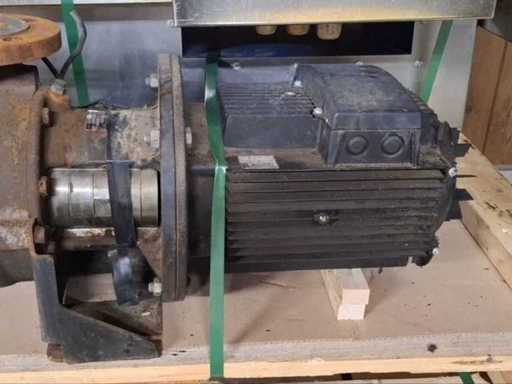 Grundfos - DNP 50-160/146 - Water pump A-F-A-BBUE