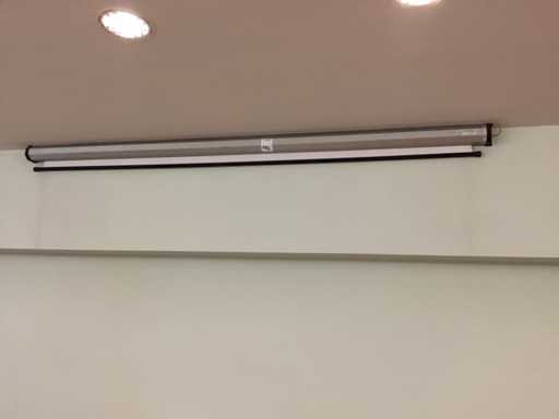 Electric Projection Screen