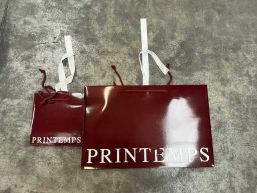 Printemps Large batch of shopping bags (1150x)