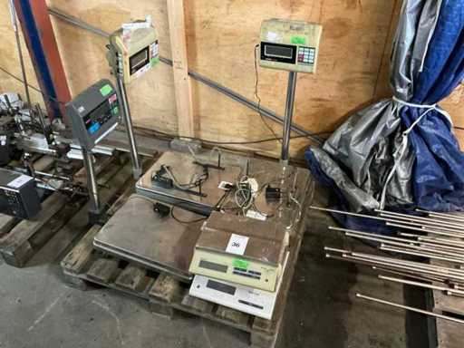 Avery Berkel Digital Scale (5x)