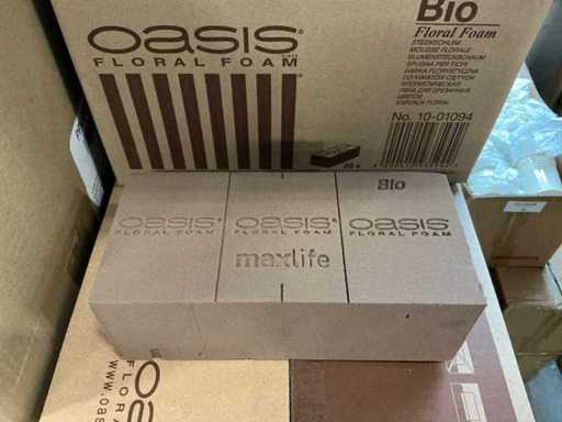 Lot Oasis Floral Foam Bio Floral Foam n°10-01094 (180x)