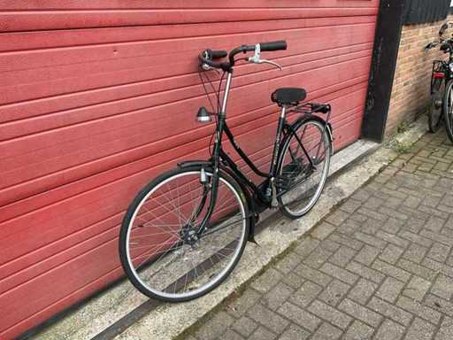 Gazelle Free Bike